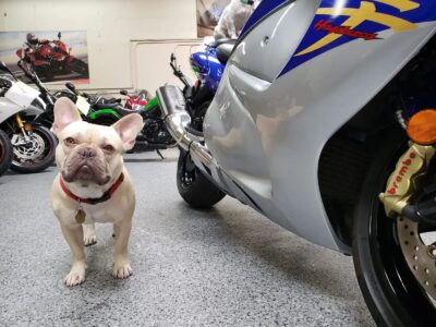 2015 Suzuki Hayabusa GSX1300R