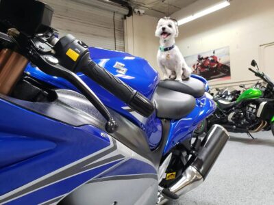 2015 Suzuki Hayabusa GSX1300R