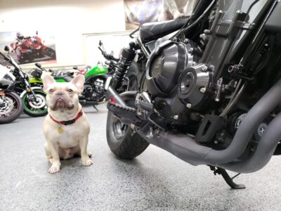 2018 Honda Rebel 500 ABS