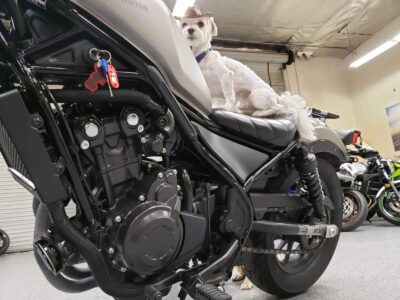 2018 Honda Rebel 500 ABS