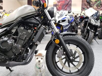 2018 Honda Rebel 500 ABS