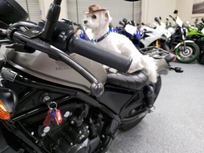 2018 Honda Rebel 500 ABS