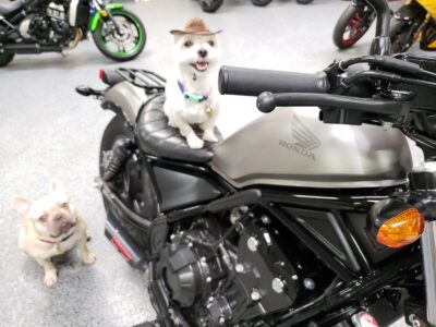 2018 Honda Rebel 500 ABS