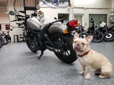 2018 Honda Rebel 500 ABS