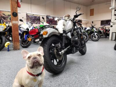 2018 Honda Rebel 500 ABS