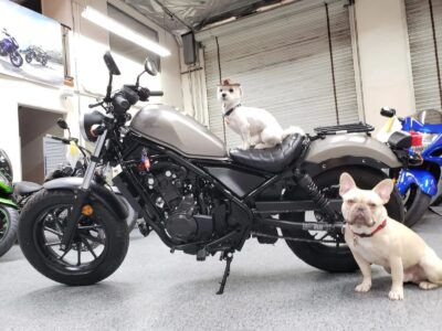 2018 Honda Rebel 500 ABS