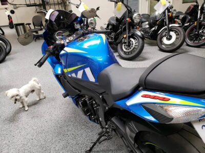2015 Suzuki GSXR 600