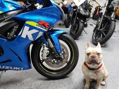 2015 Suzuki GSXR 600