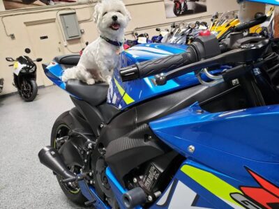 2015 Suzuki GSXR 600