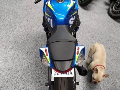 2015 Suzuki GSXR 600