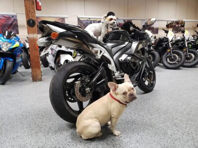 2009 Honda CBR600RR