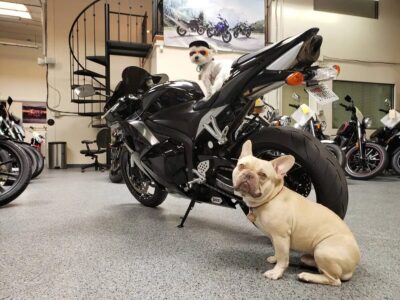 2009 Honda CBR600RR