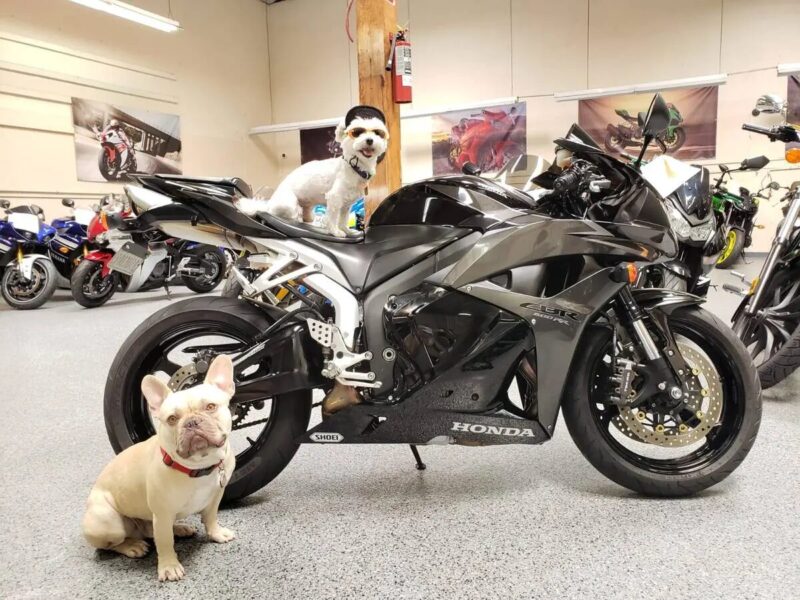 2009 Honda CBR600RR