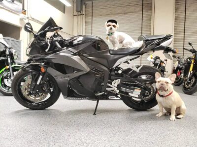2009 Honda CBR600RR