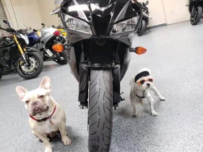 2009 Honda CBR600RR