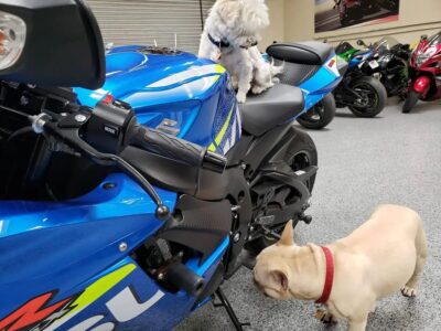2015 Suzuki GSXR 600