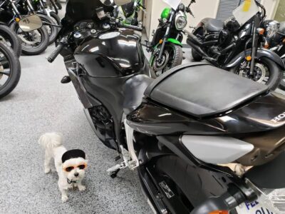 2009 Honda CBR600RR