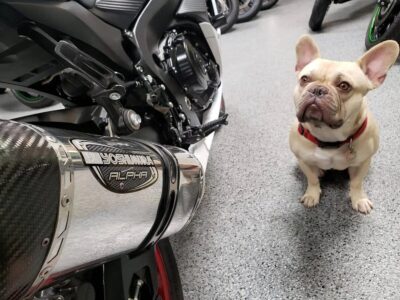 2017 Suzuki GSXR 750