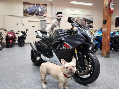 2015 Suzuki GSXR 750