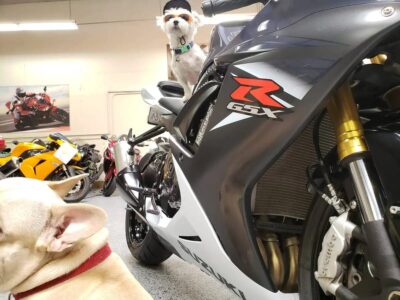 2015 Suzuki GSXR 750
