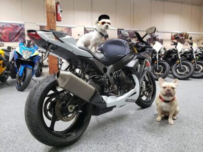2015 Suzuki GSXR 750