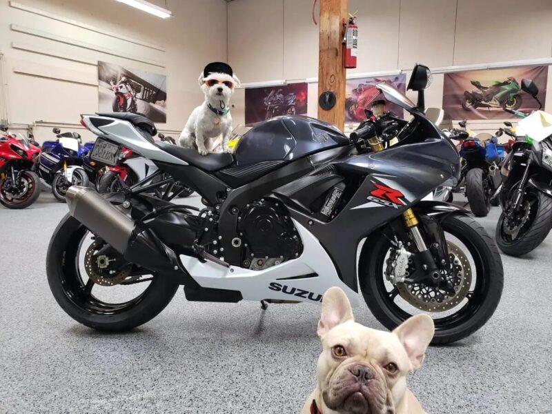 2015 Suzuki GSXR 750
