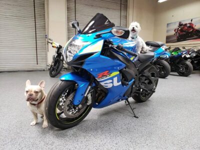 2015 Suzuki GSXR 600