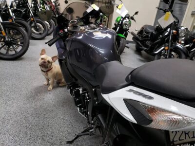 2015 Suzuki GSXR 750