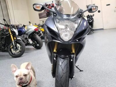 2015 Suzuki GSXR 750