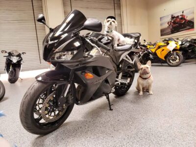 2009 Honda CBR600RR