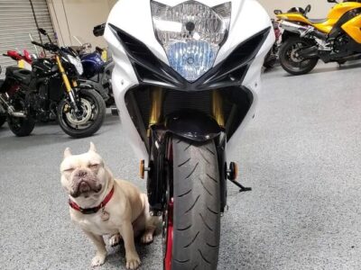 2017 Suzuki GSXR 750