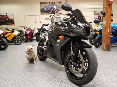 2009 Honda CBR600RR