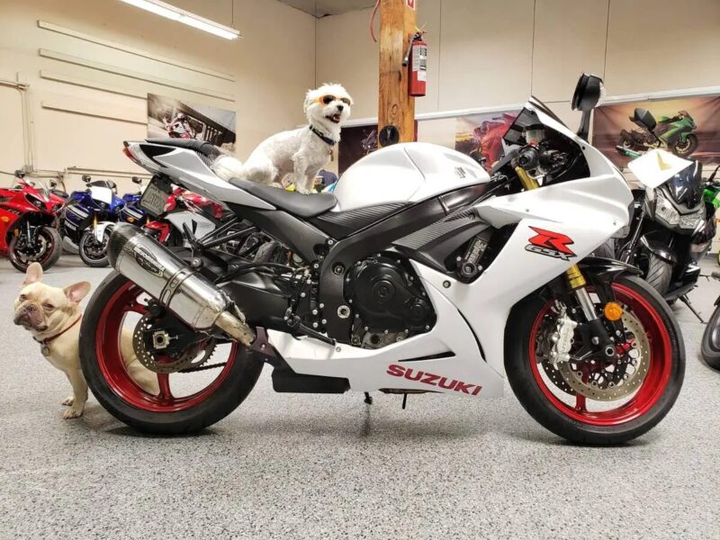 2017 Suzuki GSXR 750