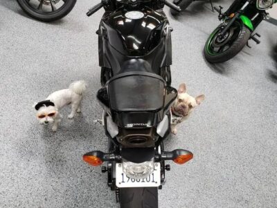 2009 Honda CBR600RR