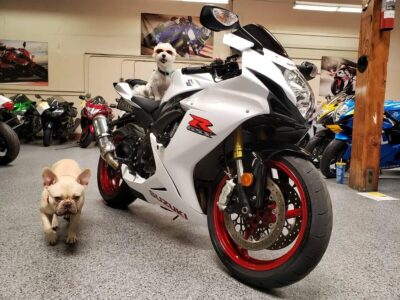 2017 Suzuki GSXR 750