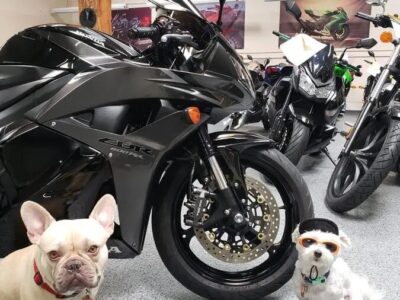 2009 Honda CBR600RR