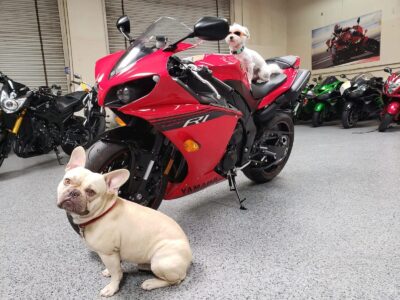 2014 Yamaha R1 Crossplane