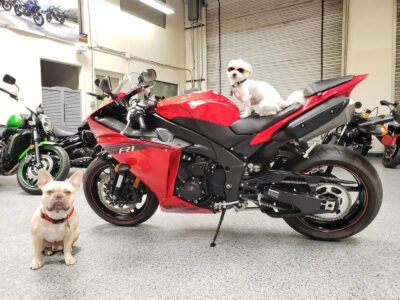 2014 Yamaha R1 Crossplane