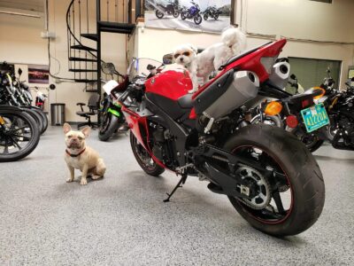 2014 Yamaha R1 Crossplane