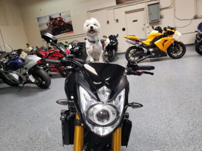 2011 YAMAHA FZ08 FZ-08