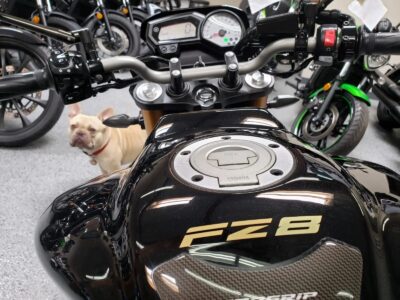 2011 YAMAHA FZ08 FZ-08
