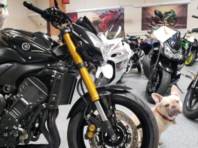 2011 YAMAHA FZ08 FZ-08