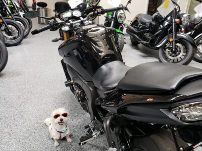 2011 YAMAHA FZ08 FZ-08