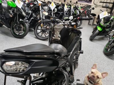 2011 YAMAHA FZ08 FZ-08