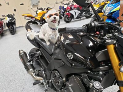 2011 YAMAHA FZ08 FZ-08