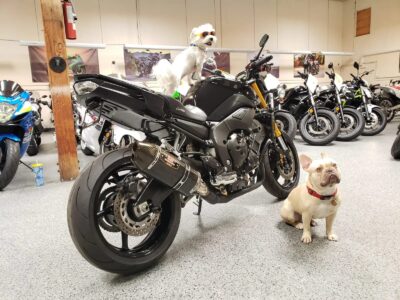 2011 YAMAHA FZ08 FZ-08
