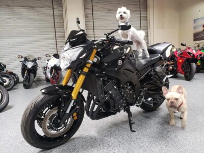 2011 YAMAHA FZ08 FZ-08