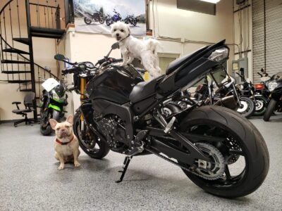 2011 YAMAHA FZ08 FZ-08