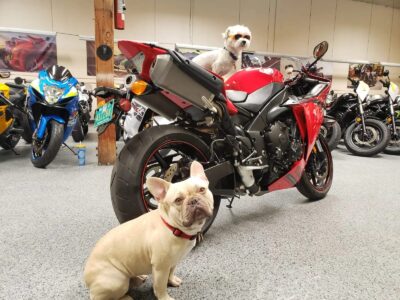 2014 Yamaha R1 Crossplane