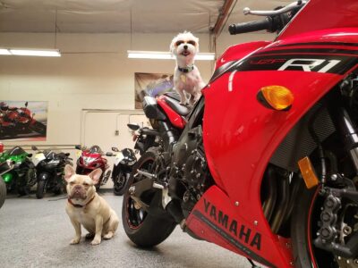 2014 Yamaha R1 Crossplane